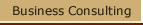 Business Consulting