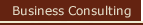 Business Consulting